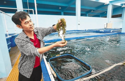 馮家灣 創新水產養殖模式，用地減法、空間加法，產出增六成以上