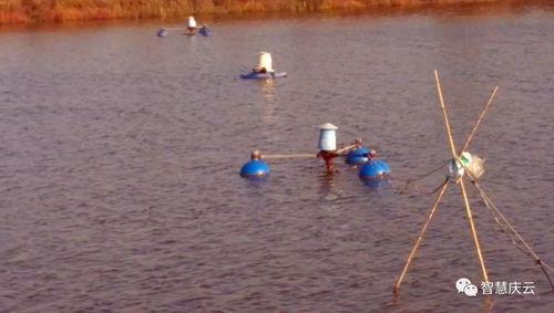 慶云海天水產(chǎn)養(yǎng)殖榮膺省級(jí)健康示范場(chǎng)，探索內(nèi)陸水產(chǎn)養(yǎng)殖與銷售新路徑